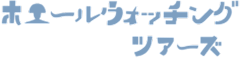 ホエールウォッチングツアーズ