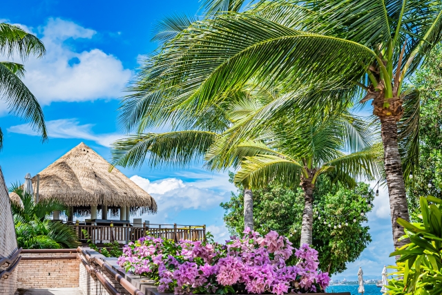 マクタン島ツアーで楽しむ南国リゾートの景色と、茅葺き屋根の東屋。