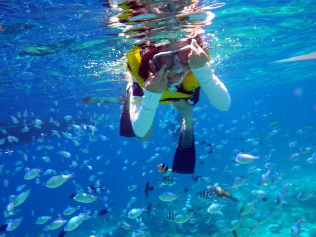 アイランドホッピング、シュノーケル