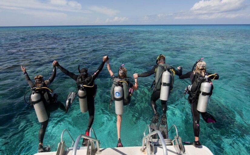 オランゴ島　ダイビング