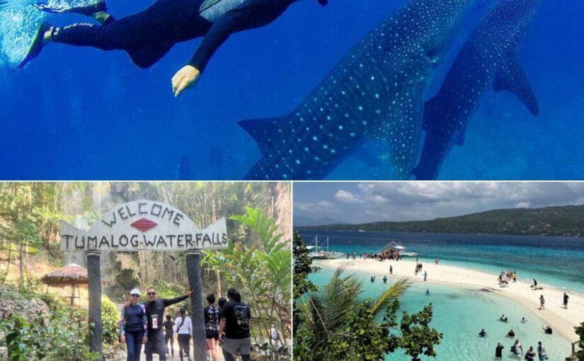 オスロブ+スミロン島またはツマログの滝ツアー