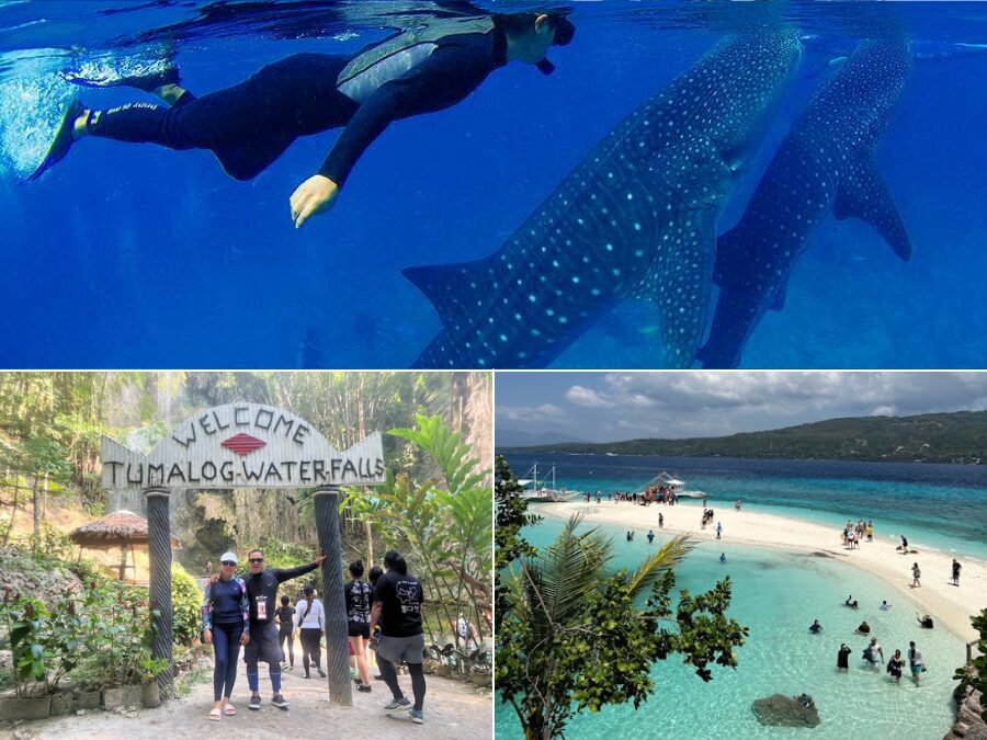 【セブ島/1日】一生に一度の感動体験！目前に迫るジンベイザメと泳ぐオスロブ観光＆選べる癒やしの絶景スポット☆《日本語ガイド＆無料送迎付》（No.5）