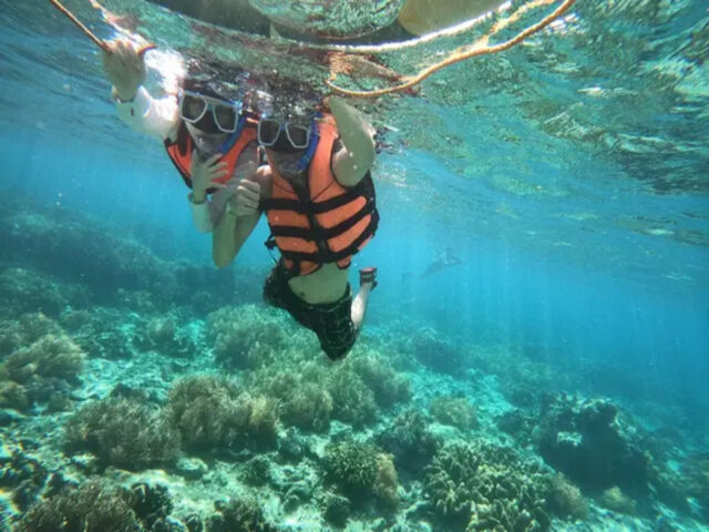 セブ島 シュノーケル