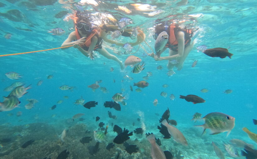 離島　シュノーケリング