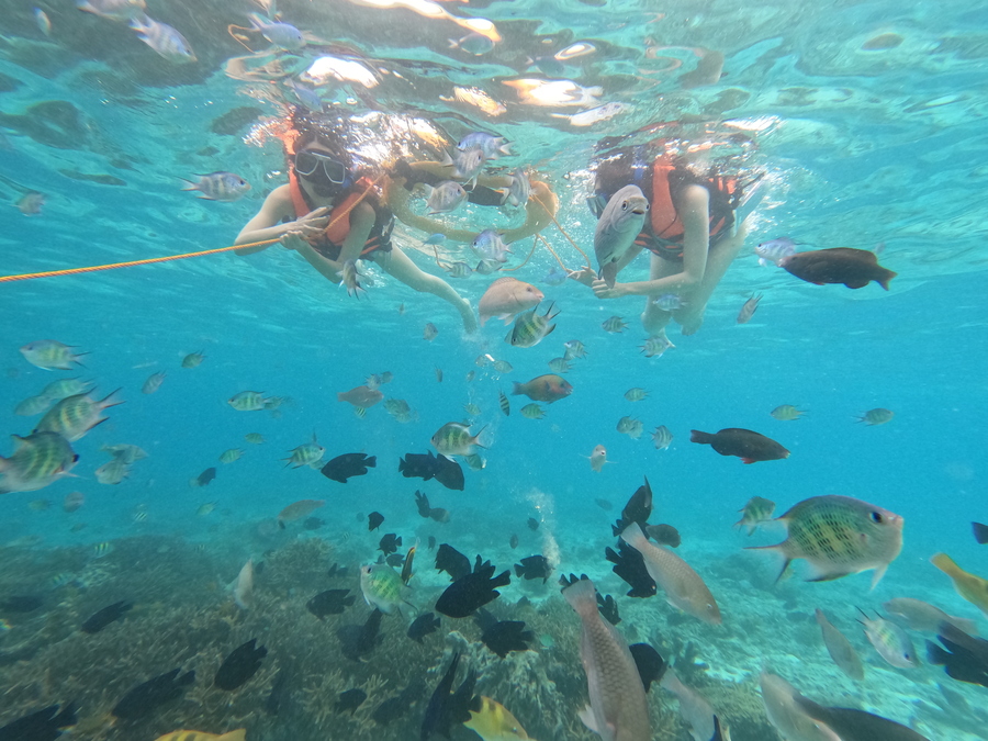【セブ島/1日】天国に一番近い『パンダノン島』と『ヒルトゥガン島』の豪華2島巡り☆シュノーケリング＆BBQランチ付《送迎あり・日本人スタッフ同行◎》（No.15）