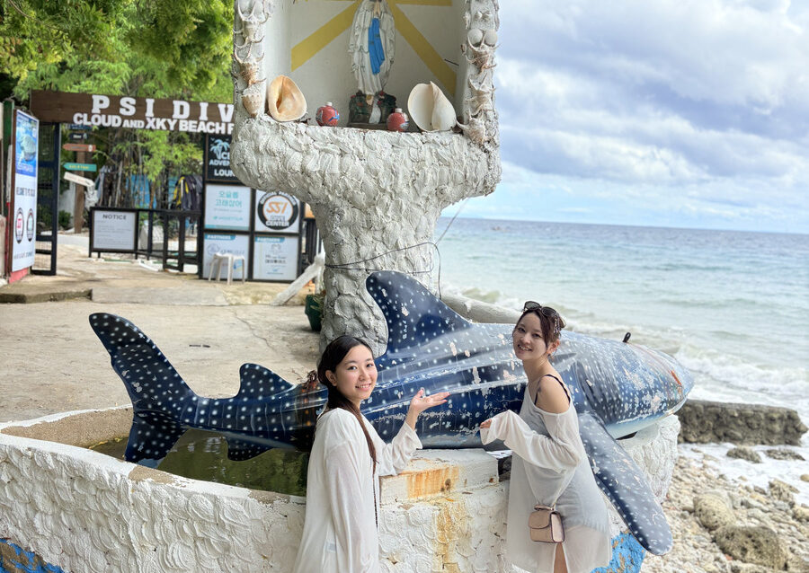 【セブ島/1日】圧巻のジンベエザメと泳ぐ感動体験＆神秘『ツマログの滝』で癒しの休日！《ホテル送迎＆日本人ガイド付》（No.16）