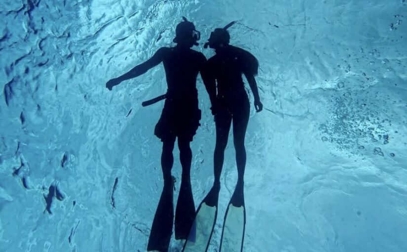 離島　ジンベイザメ