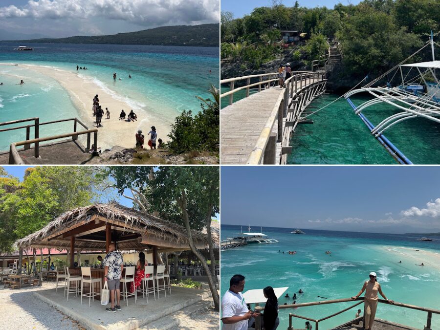 【セブ島/1日】一生に一度の感動体験！目前に迫るジンベイザメと泳ぐオスロブ観光＆選べる癒やしの絶景スポット☆《日本語ガイド＆無料送迎付》（No.5）