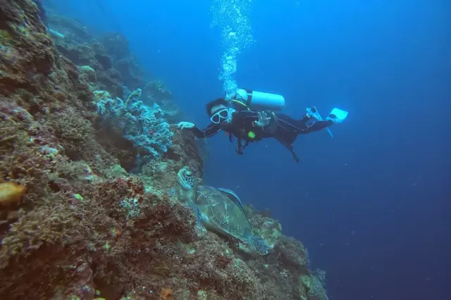 オランゴ島 ボートダイビング ライセンス