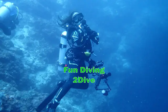 ダイビング　ウミガメ　熱帯魚