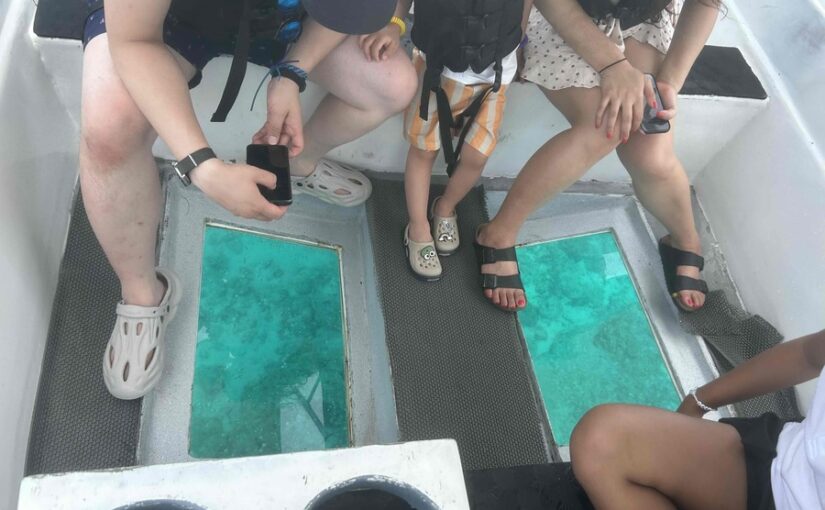 グラスボトムボード　海中　散歩