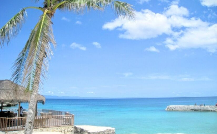 青い海と白い砂浜が広がるセブ島のリゾートビーチとヤシの木。