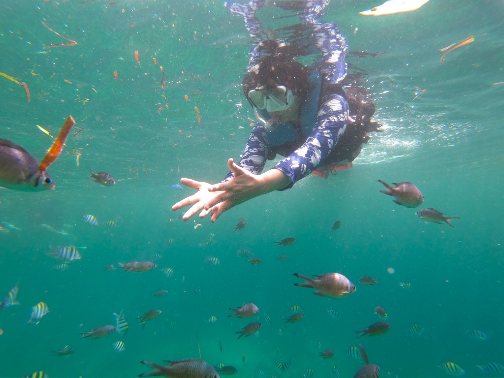 シュノーケリング