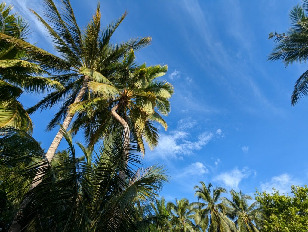 天気　天候　セブ島旅行のベストシーズン