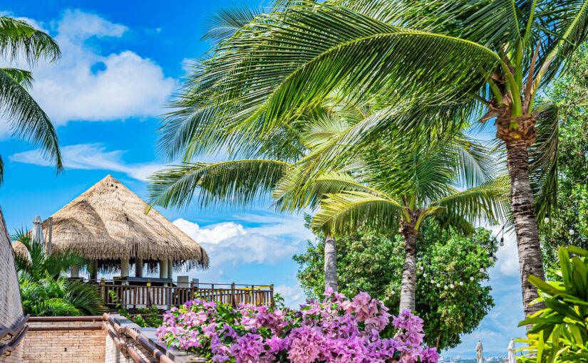 マクタン島　リゾート