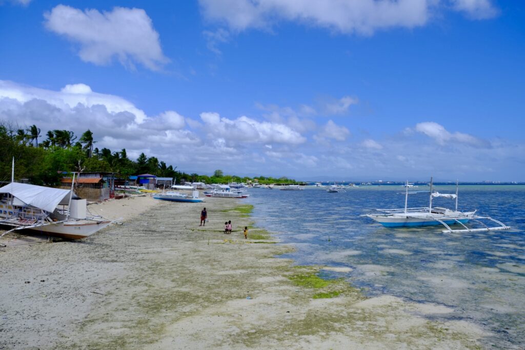 セブ島　アイランドホッピング　ビーチ