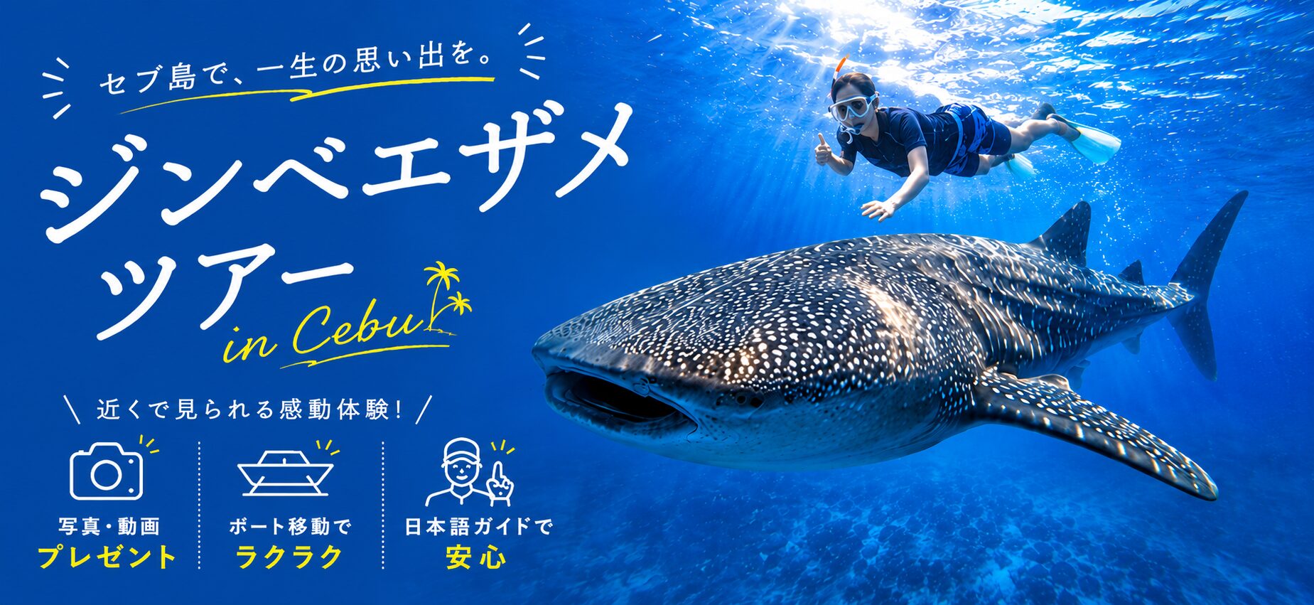 セブ島ジンベエザメツアーKV_pc