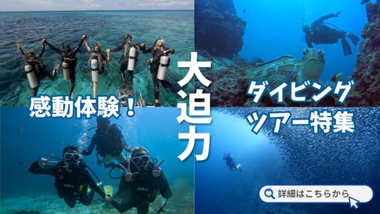セブ島ダイビングKV_sp