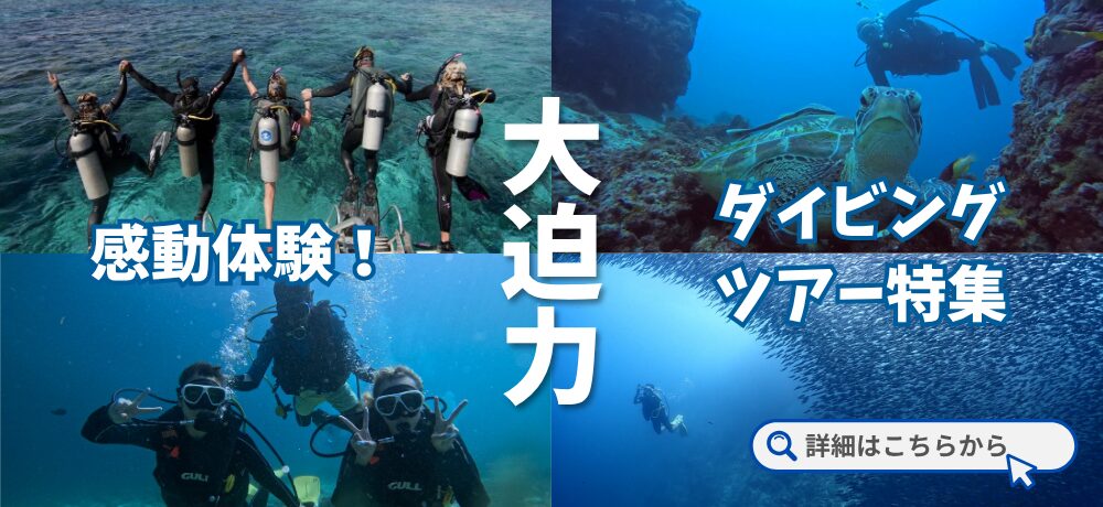 セブ島ダイビングKV_pc