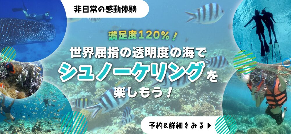 セブ島シュノーケリングKV_pc